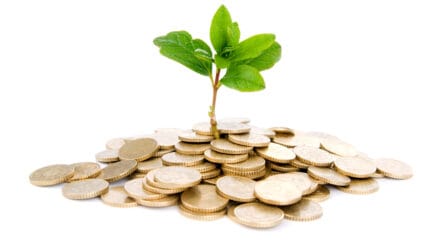 Coins and plant, isolated on white background