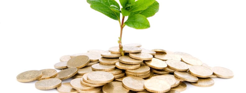 Coins and plant, isolated on white background
